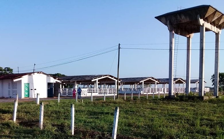 Vaquerías en Sandino por garantizar autoabastecimiento municipal