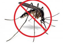 Intensifica acciones de lucha antivectorial Sistema de Salud en Sandino