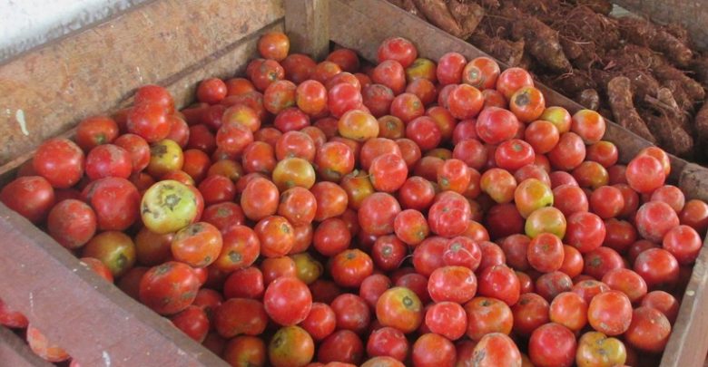 Laboran en Sandino para mantener la comercialización de productos agrícolas