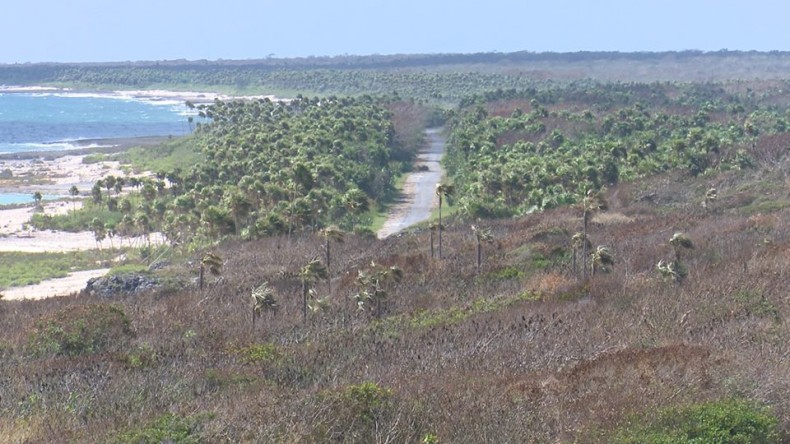 sequía sandino