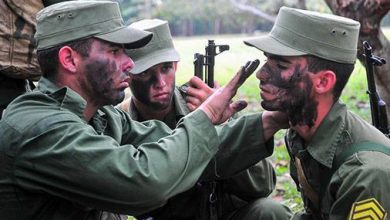 día defensa pinar