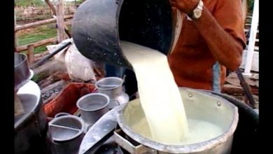 Sobrecumplen ganaderos sandinenses plan de leche en estos meses del actual año