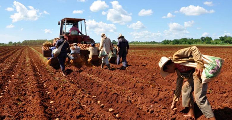 cooperación bilateral Cuba ONU