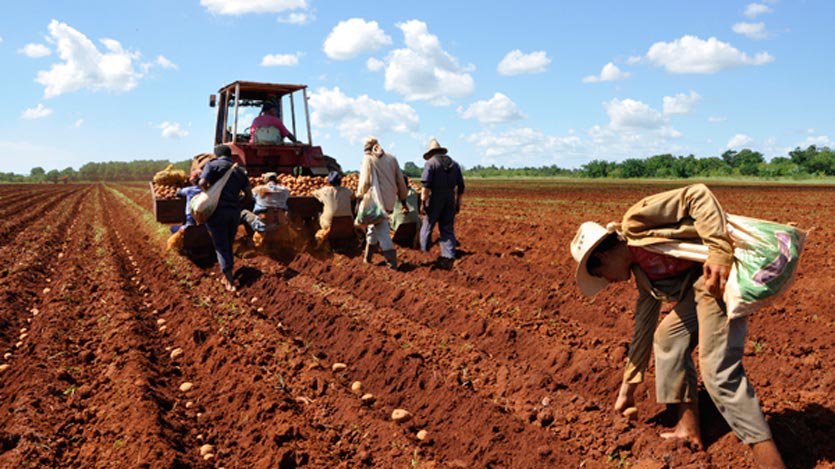 cooperación bilateral Cuba ONU