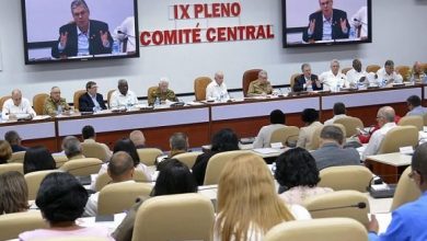 IX pleno comite central