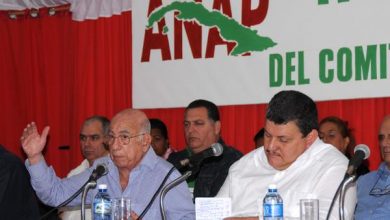 pleno agricultores anap