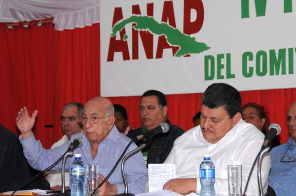 pleno agricultores anap