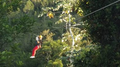 Pinar del Río hacia un Turismo sostenible