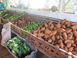 Incrementar la producción de alimentos para cubrir la demanda actual en Sandino