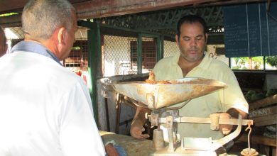 visita sandino alimentos