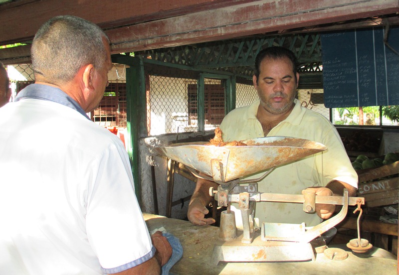 visita sandino alimentos