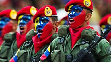 Fuerza Armada Nacional Bolivariana colombia