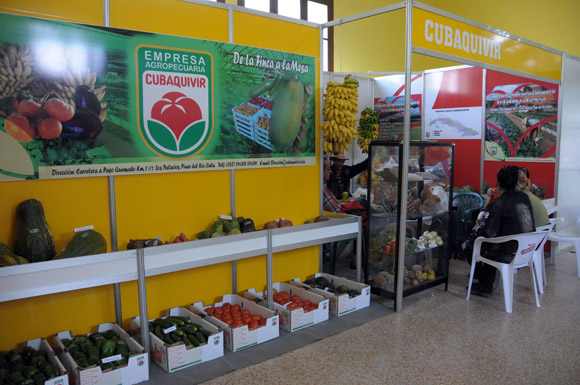 agricultura pinareña exportaciones