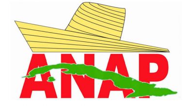 ANAP X Congreso