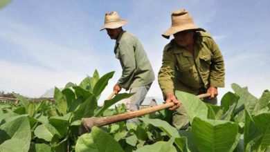 campesinos ley reforma agraria