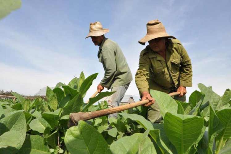 campesinos ley reforma agraria