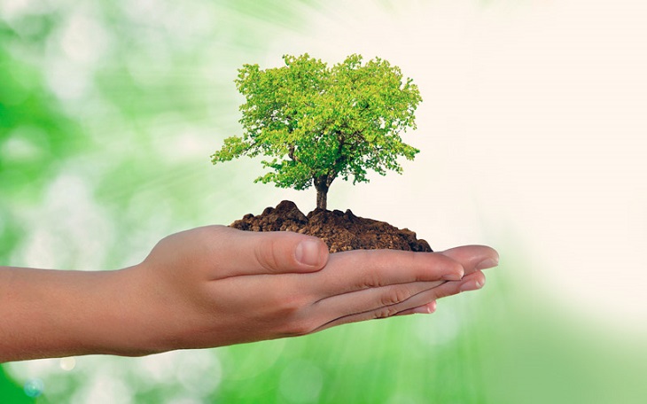 Día Mundial del Medio Ambiente