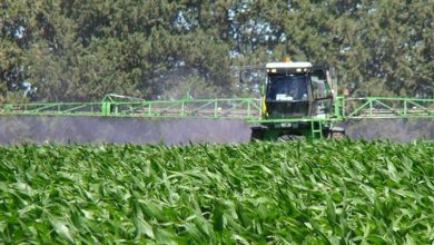 uso de fertilizantes en lo suelos