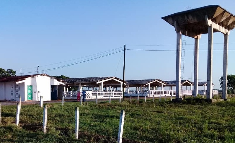 Vaquerías en Sandino por garantizar autoabastecimiento municipal