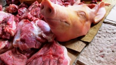 Mantiene Sandino un plan de seis toneladas de carne de cerdo