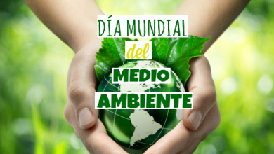 día mundial medio ambiente