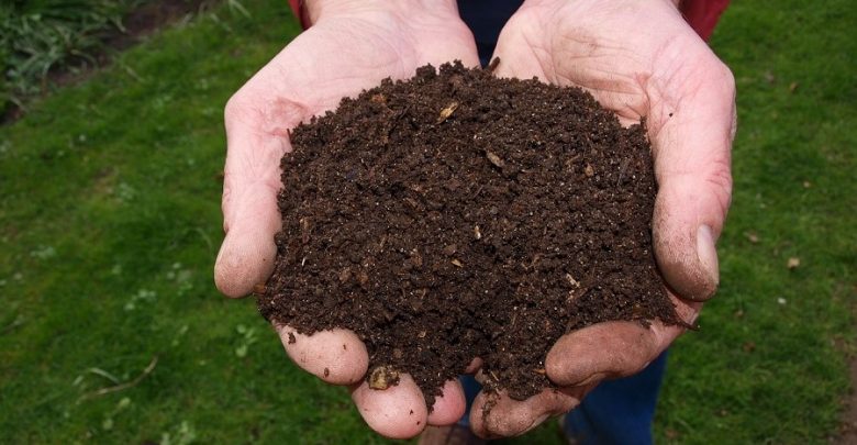 Trabajan por un desarrollo agroecológico en el municipio de Sandino