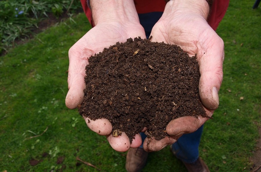 Trabajan por un desarrollo agroecológico en el municipio de Sandino