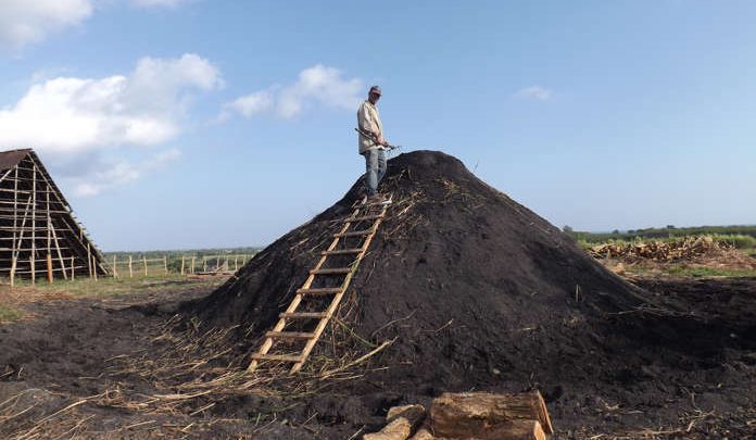 Consolidan producción de carbón vegetal en empresa pecuaria pinareña