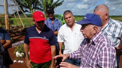 machado ventura granma