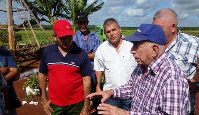 machado ventura granma