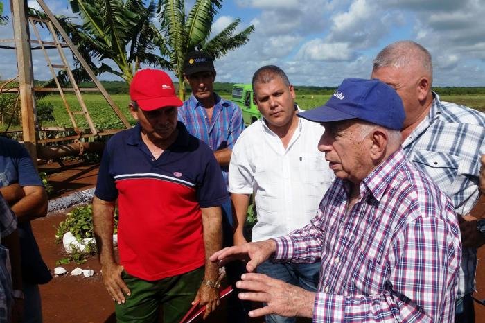 machado ventura granma