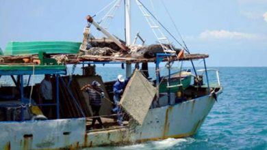 pesca langosta