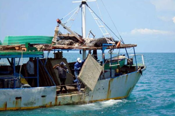 pesca langosta