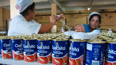 Supera fábrica de conservas La Conchita plan de producción