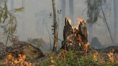 Condenan exclusión de Venezuela de reunión sobre incendios forestales