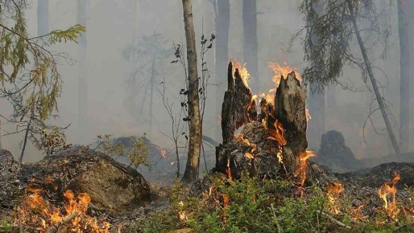 Condenan exclusión de Venezuela de reunión sobre incendios forestales