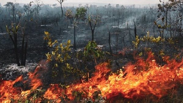 Analistas consideran que el incendio en Amazonía augura para el planeta una crisis mediambiental. Foto/TeleSur
