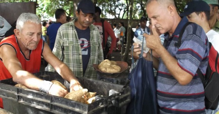 feria agropecuaria sandino