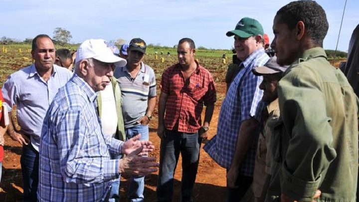 machado ventura alimentos