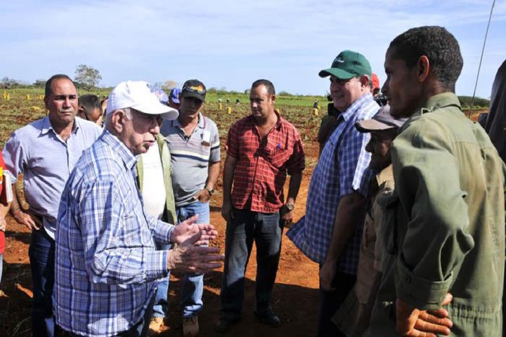 machado ventura alimentos