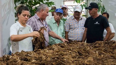 machado ventura pinar