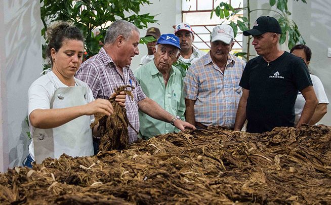 machado ventura pinar