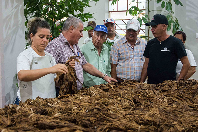 machado ventura pinar