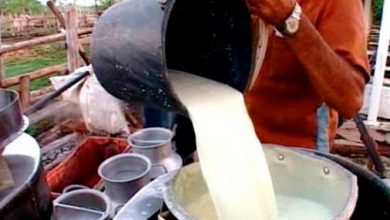 Exhibe Pinar del Río avances en la producción de leche