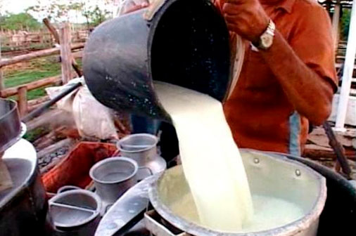 Exhibe Pinar del Río avances en la producción de leche