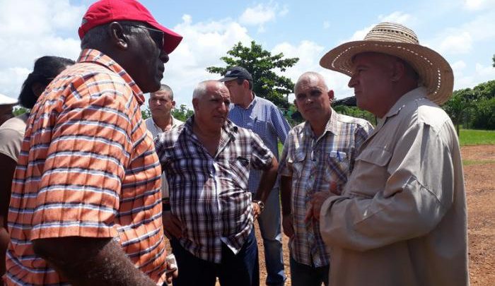 Valdés Mesa chequeó los principales indicadores productivos del sector agroalimentario en Mayabeque
