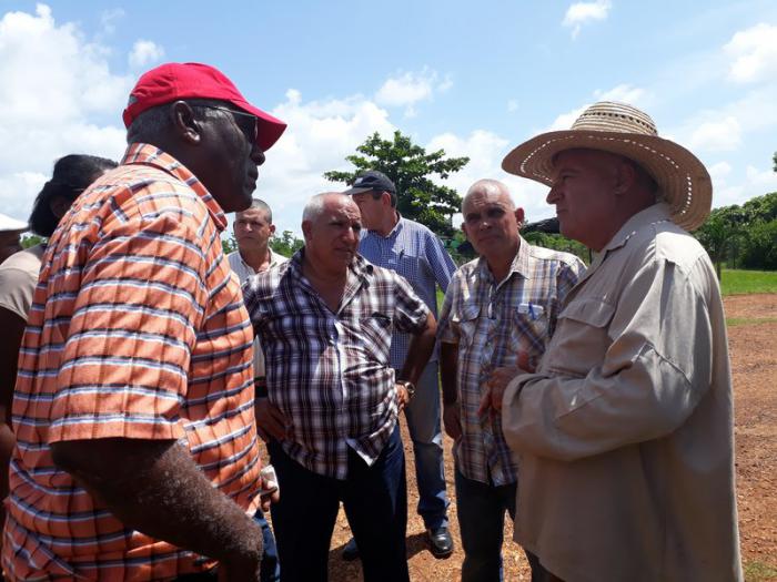 Valdés Mesa chequeó los principales indicadores productivos del sector agroalimentario en Mayabeque