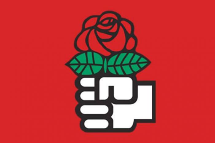 Organización Socialistas Democráticos de América (DSA)