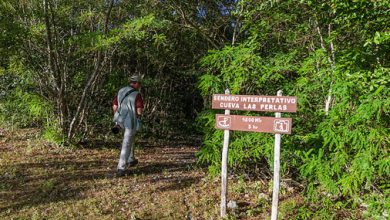 Avanza Tarea Vida en Pinar del Río