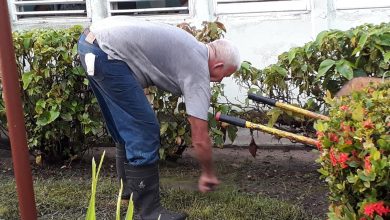 La jardinería, incentivo de Bartolo